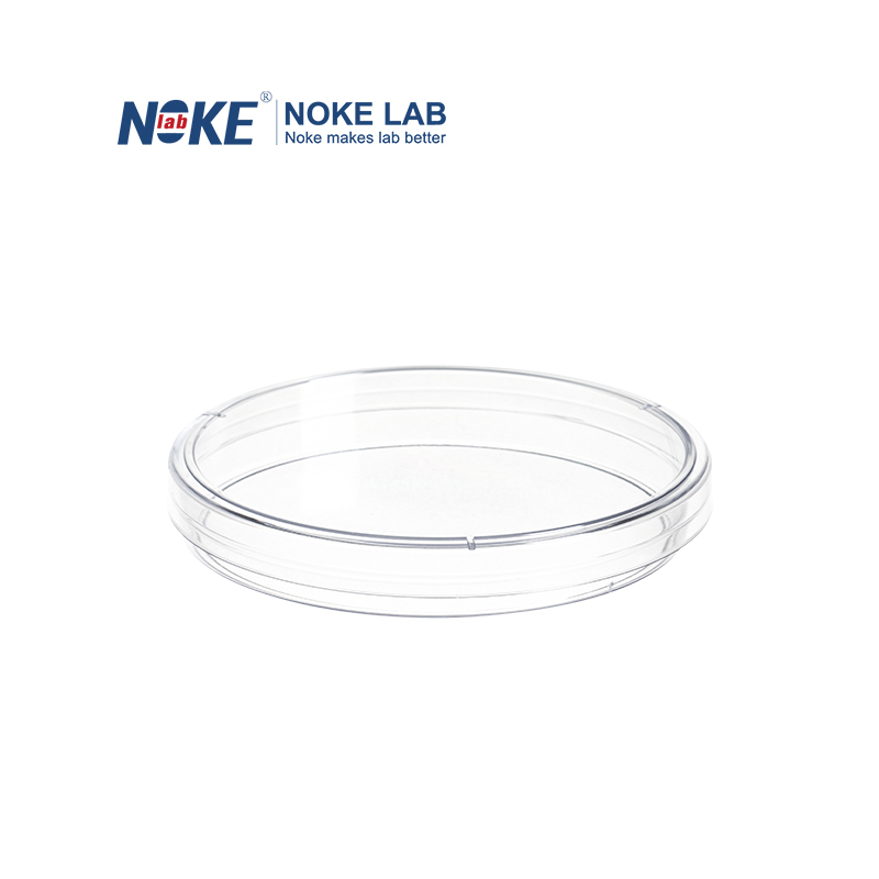 150 mm TC-treated Petri Dish, Sterile